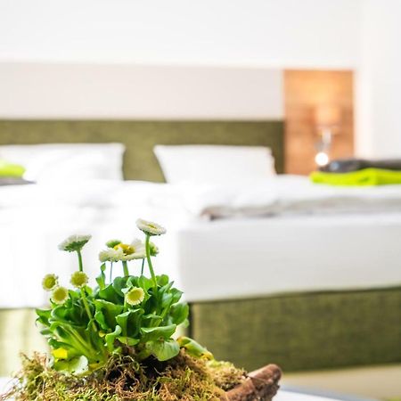 Hotel-Pension Treppengasse Nr 6 Altenburg Eksteriør billede
